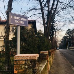 Segmenti iz Beograda – Pišta sa Dedinja